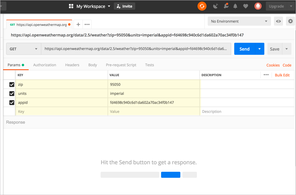 Первый запрос в Postman. Path parameters в Postman. API Key пример.